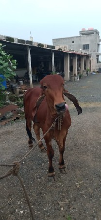 थंबनेल 2