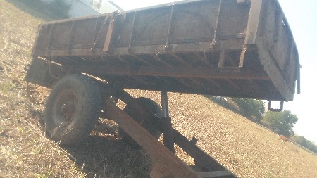 પીચાસીફૂટટોલી