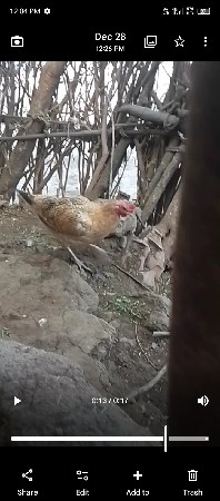 મુર્તિ વેચવાની છે