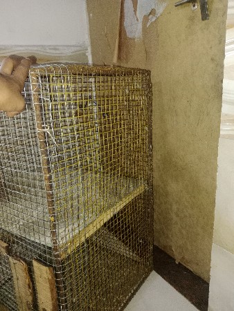 પીંજરું