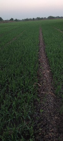 30 વિઘા  જમીન વેચવાની છે