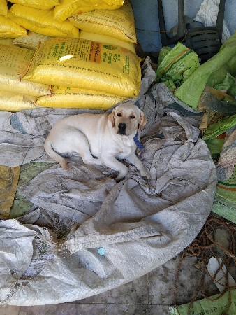 થંબનેલ 2