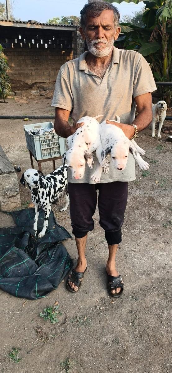 થંબનેલ 3