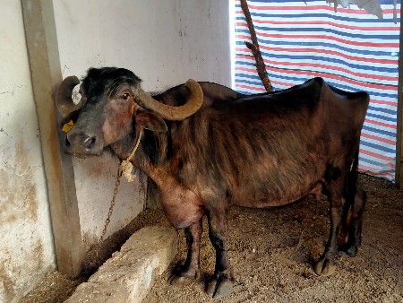 थंबनेल 3