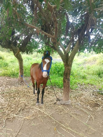 થંબનેલ 3