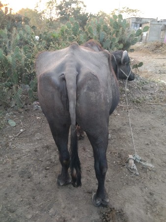 થંબનેલ 3