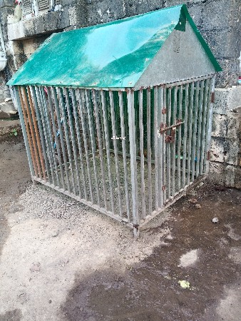 થંબનેલ 2