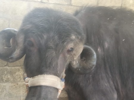 थंबनेल 2