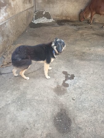 થંબનેલ 3