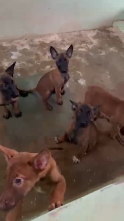 થંબનેલ 3