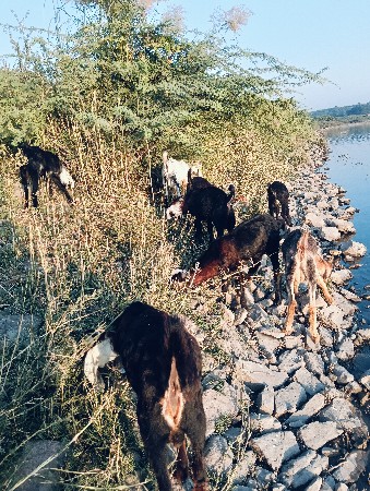 थंबनेल 2