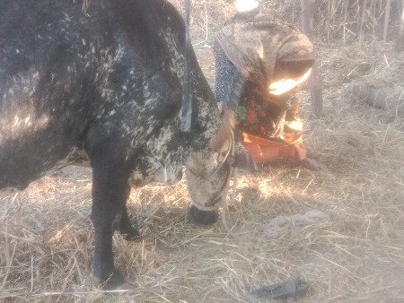 થંબનેલ 3