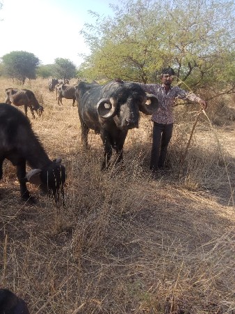 थंबनेल 2