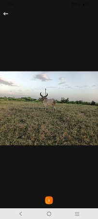 વેચવાનો છે