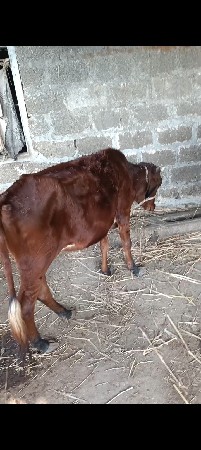 थंबनेल 2