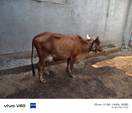 थंबनेल 3