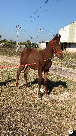 થંબનેલ 3