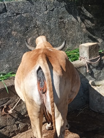 थंबनेल 2