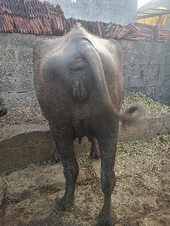 थंबनेल 3