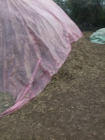 ભુકો વેચવાનો