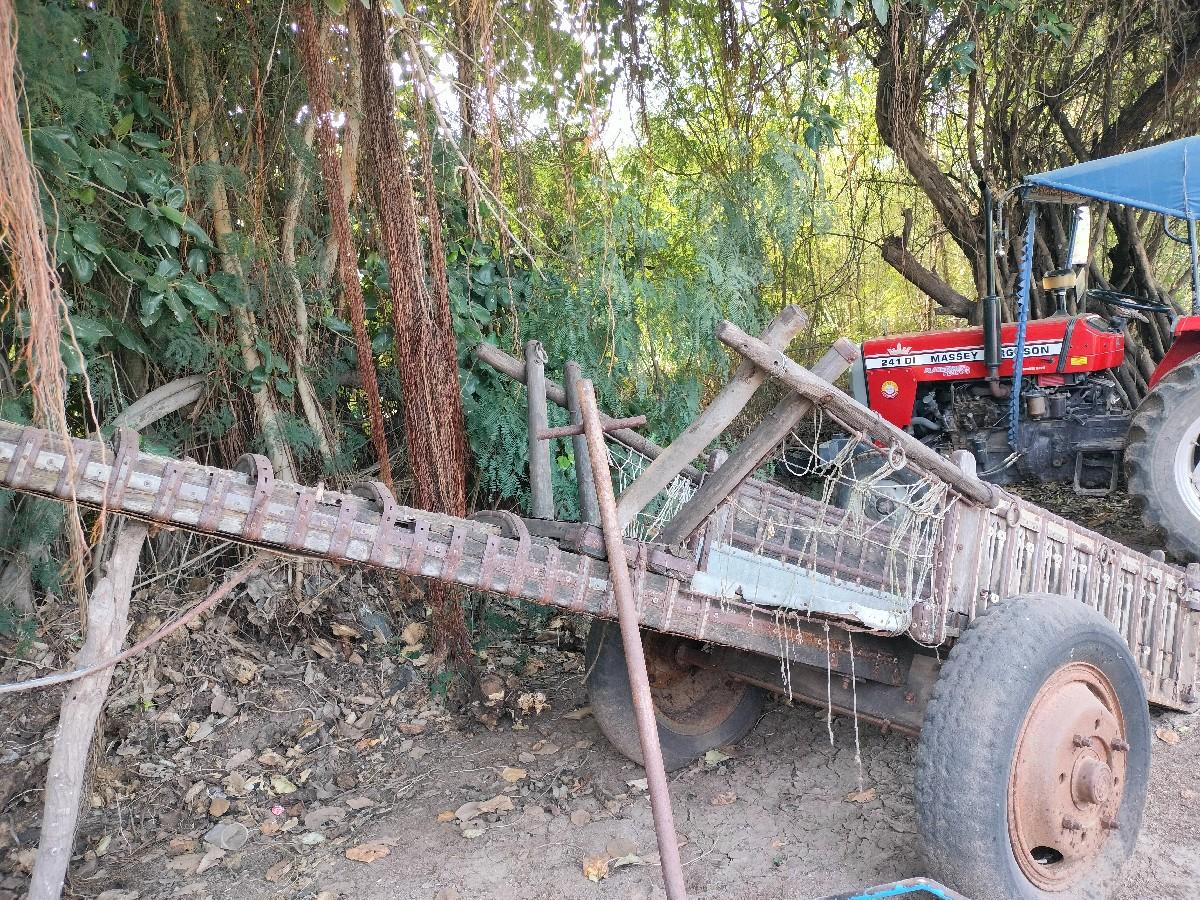 થંબનેલ 2