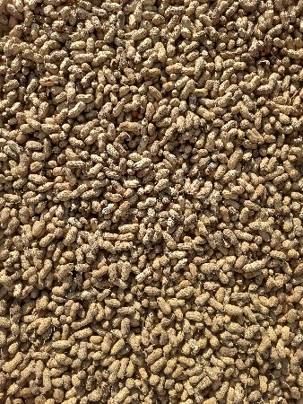 બીયારણ ની મગફડી વેચવાની સે