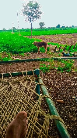 જર્મન ફિમેલ ની મિટિંગ કરાવવી સે