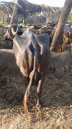 થંબનેલ 3