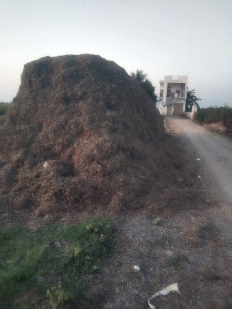 થંબનેલ 1