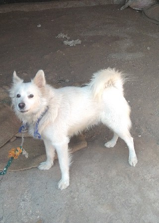 સાટા પણ કરવાના