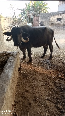 थंबनेल 2