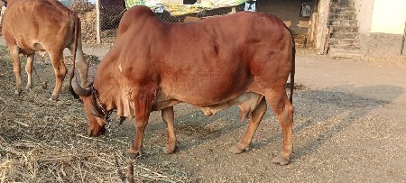 थंबनेल 3