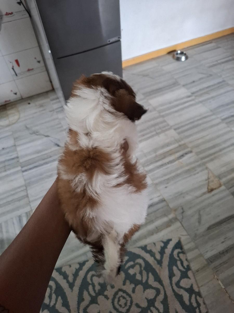 થંબનેલ 2