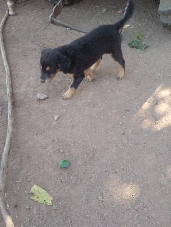 थंबनेल 2