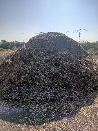 માડવીનો ભૃકો