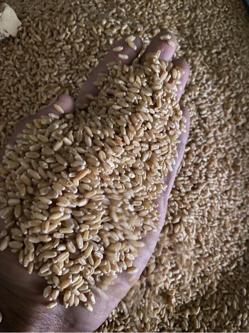 ઘઉ     173
₹750