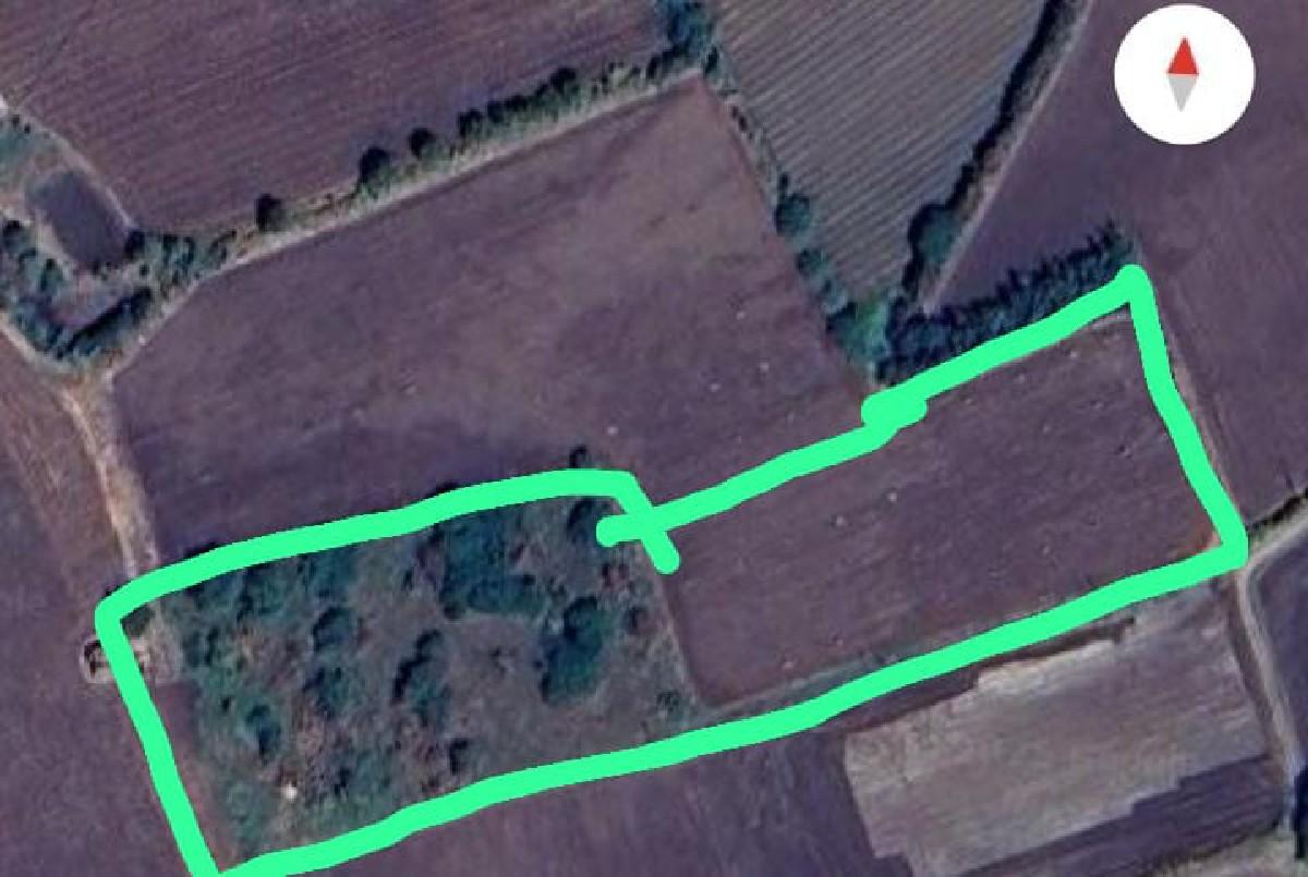 थंबनेल 2