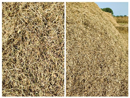 8 વીઘા માંડવીનો કોરો ભુકો વેચવાનો છ