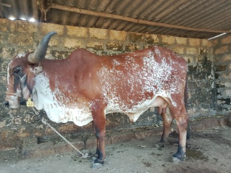 થંબનેલ 2