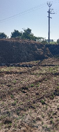 માંડવીનું ભૂકો વેચવાનું છે 20 નંબર