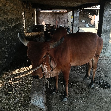 थंबनेल 3