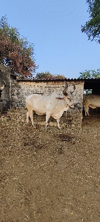 थंबनेल 2