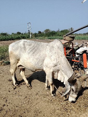 थंबनेल 2