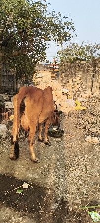 थंबनेल 3