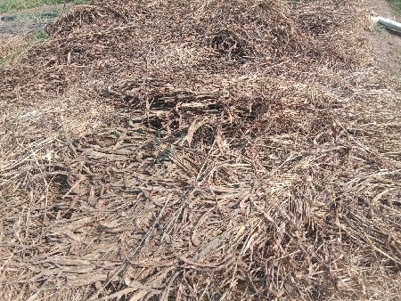 માલ ઢોર માટેનો સારો બેસવાનો છે