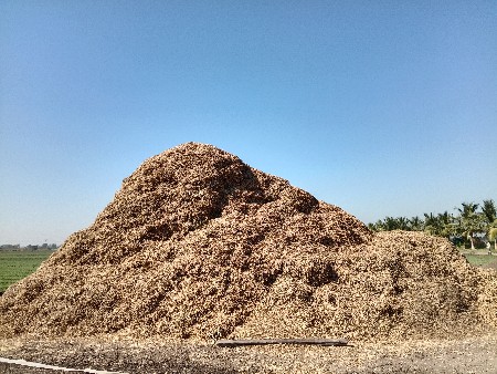 કોરો ભૂકો વેચવાનો છે 55 વીઘા