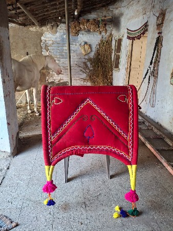 થંબનેલ 2