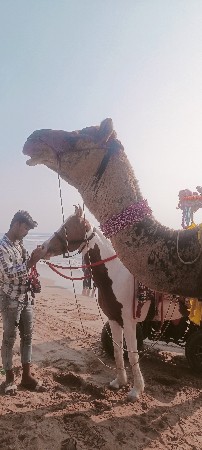 थंबनेल 2