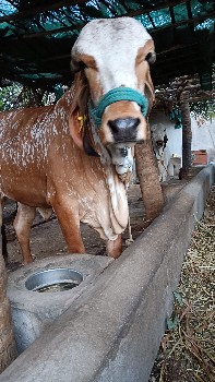 थंबनेल 2