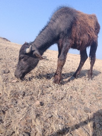 થંબનેલ 3